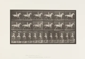 Levy 602. Ravi;Paljas selkä; Rider, 43, Alaston; Vaaleanharmaa Horse Smith, 1885