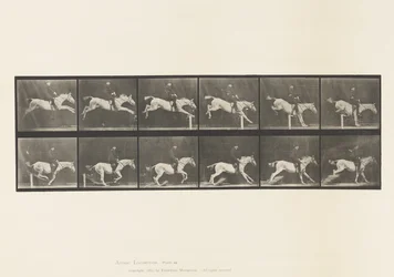 Levy 641. Esteen hyppy; Satula; Knocking Over Hurdle ja