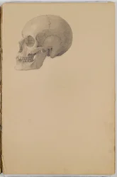 Anatomy Sketch Book, 1849 (luonnoskirja, joka sisältää grafiittipiirroksia)