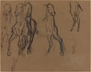Study of Horses, n. 1886 (hiili ja grafiitti ruskealla paperilla)