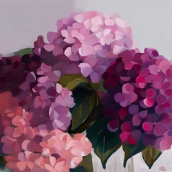 Värikkäät hydrangeakukat
