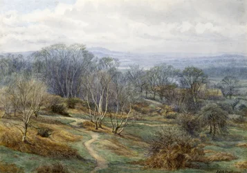 Hampstead Heath Looking Towards Harrow on the Hill, n. 1880 (wc paperilla)