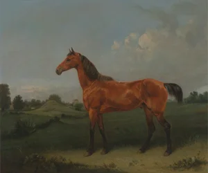 Lahden hevonen pellolla