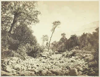 Voreppe Dauphine, n. 1855.