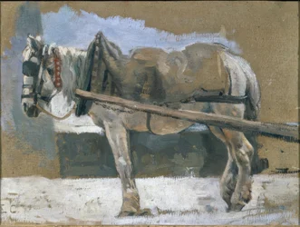 Valjastoitu hevonen