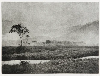 Oze Mist, 1993