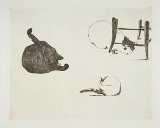 Kissat, 1868-69.
