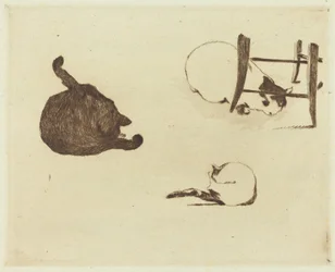 Kissat (Les chats)