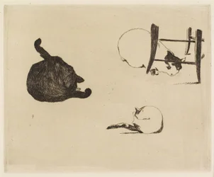 Kissat, 1869