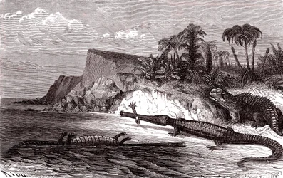 Teleosaurus ja Hyleosaurus