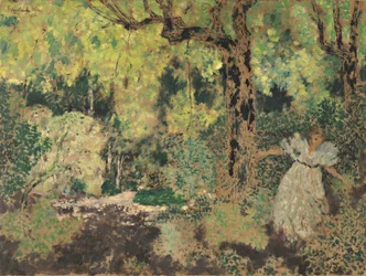 Misia metsässä, 1897-1899