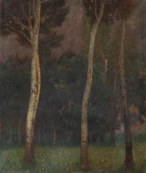 Ala-itävallan puumaisema