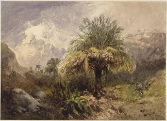 Palmuja vuoristossa
