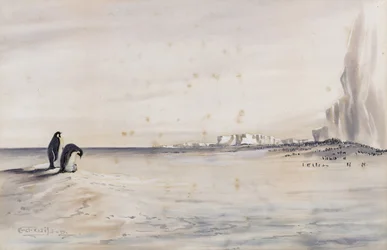 Keisaripingviini Rookery, Cape Crozier