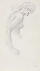 Tutkimus naishahmosta, 1885.
