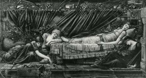 Rose Bower, Briar Rose -sarjasta