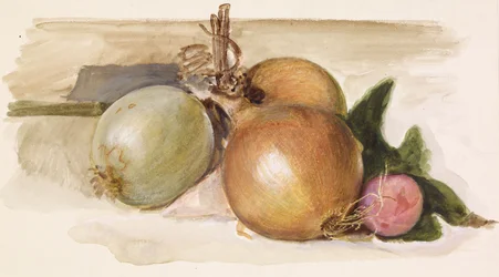 Asetelma - Sipulitutkimus, 1871-75