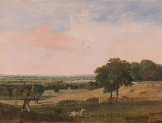 Partridge ampuminen