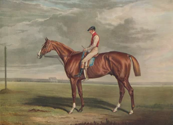 "Velocipede, St. Legerin voittaja, 1828", c1828, 1929