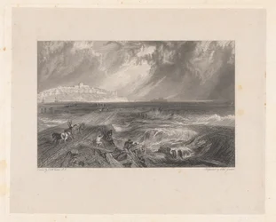 Ruis, Sussex