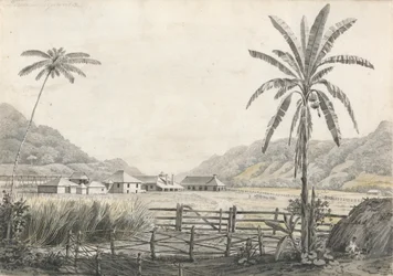 Näkymä Hall-head Sugar Plantationille, Jamaika