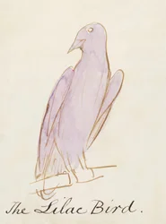 The Lilac Bird, kuudestatoista piirroksesta sarjakuvamaisia lintuja (kynä ja tussi wc paperille).
