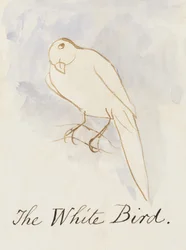 Valkoinen lintu, sarjasta Sixteen Drawings of Comic Birds (kynä & muste wc paperille)