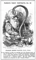 Charles Darwin (1809-1882), englantilainen luonnontieteilijä. Evoluutio luonnonvalinnan kautta. Edward Linley Sambournen (1844-1910) pilakuva Punch-lehden "Fancy Portrait" -sarjasta, Lontoo 1881, vuosi, jolloin Darwin julkaisi teoksen Kasvimullan