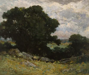 Maisema
