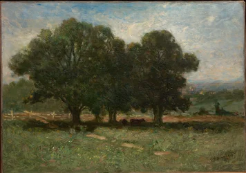 Maisema