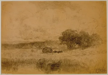 Maisema, metsä (#13) c. 1880 (grafiitti paperille)
