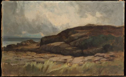 Nimetön (maisema kivien kanssa)