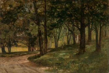 Nimetön maisema puita, n.d.