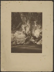 Apache - Black River (plataanipuun luona)