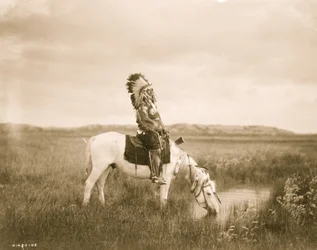Oasis in the Badlands 1905 (kuva)