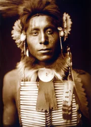 Istuva kotka, varismies, n. 1905, valokuva Edward S. Curtis