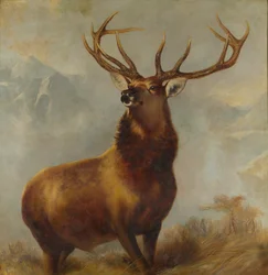 Monarch of the Glen (öljy kankaalle)