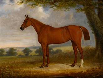 Kastanjanmetsästäjä maisemassa, 1867