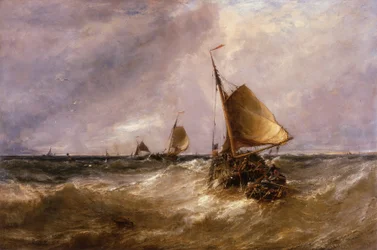 Hollantilaiset vaaleanpunaiset