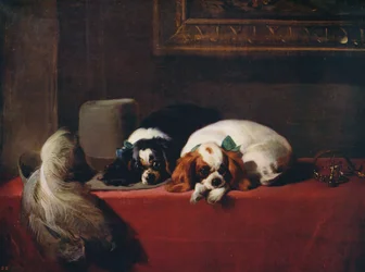 King Charlesin spanielit, kavaljeerien lemmikit, 1845, noin 1915