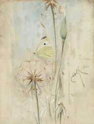 Butterfly and Thistledown (akvarelli)