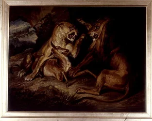 Lions at a Kill (öljy kankaalle)