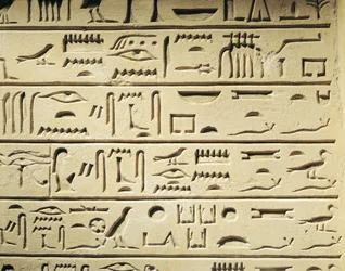 Majordomo Khentekhtayaunin hautausstele, hieroglyfit raportoivat luettelon vainajan omaisista
