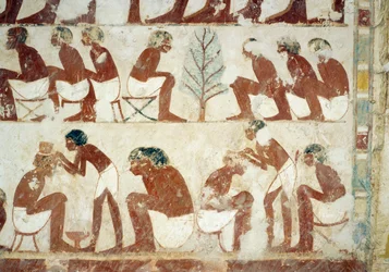 Sotilaiden hiusten leikkaus, fresko, eteläseinä, läntinen poikittaiskammio, Userhatin hauta, opettaja ja kirjuri Amenhotep II:n hallituskaudella, joka tunnetaan myös nimellä TT56, Sheikh Abd el-Qurna, Thebes. Egyptin sivilisaatio, Uusi kuningaskunta, dynas