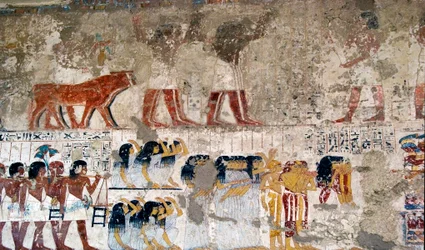 Egyptiläinen antiikki: "" uhrien kantajat ja itkeminen"" Fresko Vizir Ramosen haudasta (18. dynastia). Luxor, Länsiranta, Aatelisten laakso Egypti - Muinainen Egypti: tarjoaa kantajia ja surejia. Fresko visiiri Ramosen haudasta (18