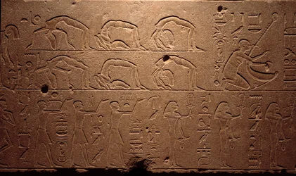 Egyptiläinen antiikki: yksityiskohta kaiverretusta fresosta, joka kuvaa tanssijoita, vääntyjiä ja muusikoita. Kuningatar Hatsepsutin (Hatshepsut) 18. dynastian aika. Luxor, Egyptin taidemuseo