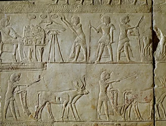 Egyptiläinen antiikki: kohtauksia työstä pelloilla ja uhrauksia faaraolle. Yksityiskohta reliefistä Tutankhamonin kuninkaallisen kirjanoppineen Horemhedin (noin 1323-1293 eKr.) haudasta. 1354-1326 eaa. Bologna, Civico Museo Archeologico