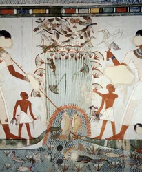 Menna ja hänen perheensä kalastusta ja lintuja Niilin soilla, yksityiskohta freskoista Mennan haudan kappelissa, Sheikh Abd el Qurnah Necropolis, Luxor, Thebes (Unescon maailmanperintöluettelo)