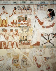 Menna valvoo työntekijöitään pelloilla, yksityiskohta Freskoista Mennan haudan eteisessä, Sheikh Abd el Qurnah Necropolis, Luxor, Thebes (Unescon maailmanperintöluettelo)