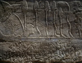 Thutmose III:n Syyrian retkikunnasta vuonna 1465 eKr. tuodut kasvit, reliefin yksityiskohta, ns. kasvitieteellisen puutarhan sali, Amunin temppeli, Karnakin temppelikompleksi, Egyptin sivilisaatio, Uusi valtakunta, XVIII dynastia